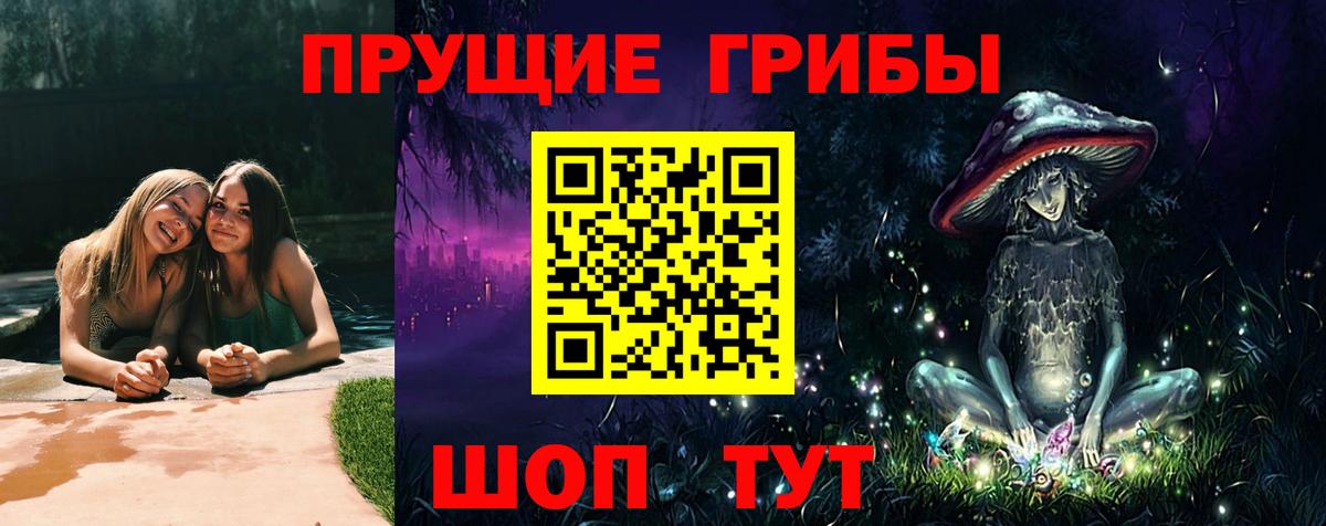 Электросталь  Галлюциногенные грибы прущие грибы  Вход с VPN  Псилоцибиновые грибы GOLDEN TEACHER 